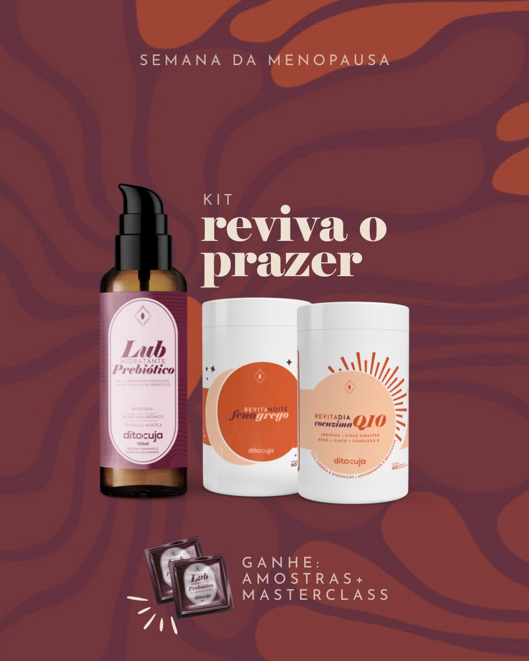 Kit Reviva o Prazer (Lub + Revita)