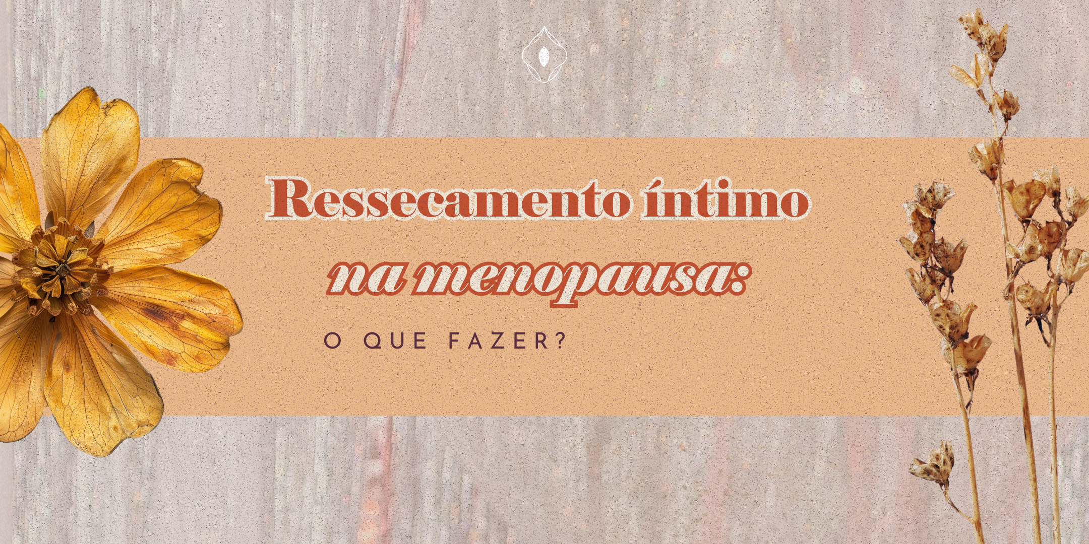 Ressecamento íntimo na menopausa: o que fazer?