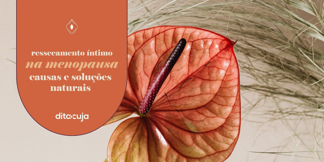 Ressecamento íntimo na menopausa: causas e solução natural