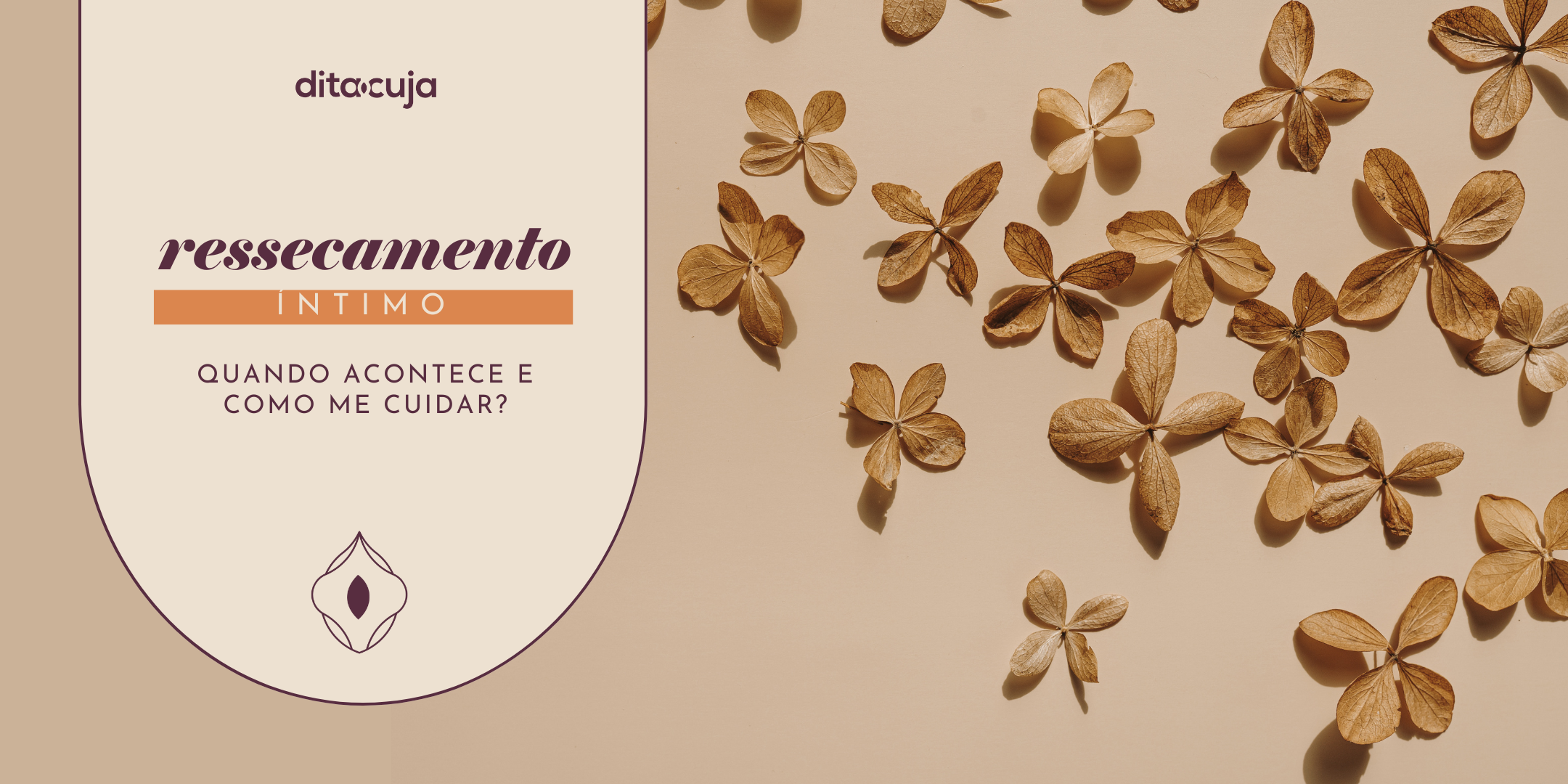 Ressecamento íntimo, quando acontece e como me cuidar? – Dita cuja
