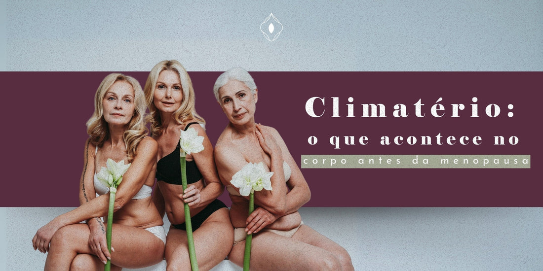 Climatério: o que acontece no corpo antes da menopausa