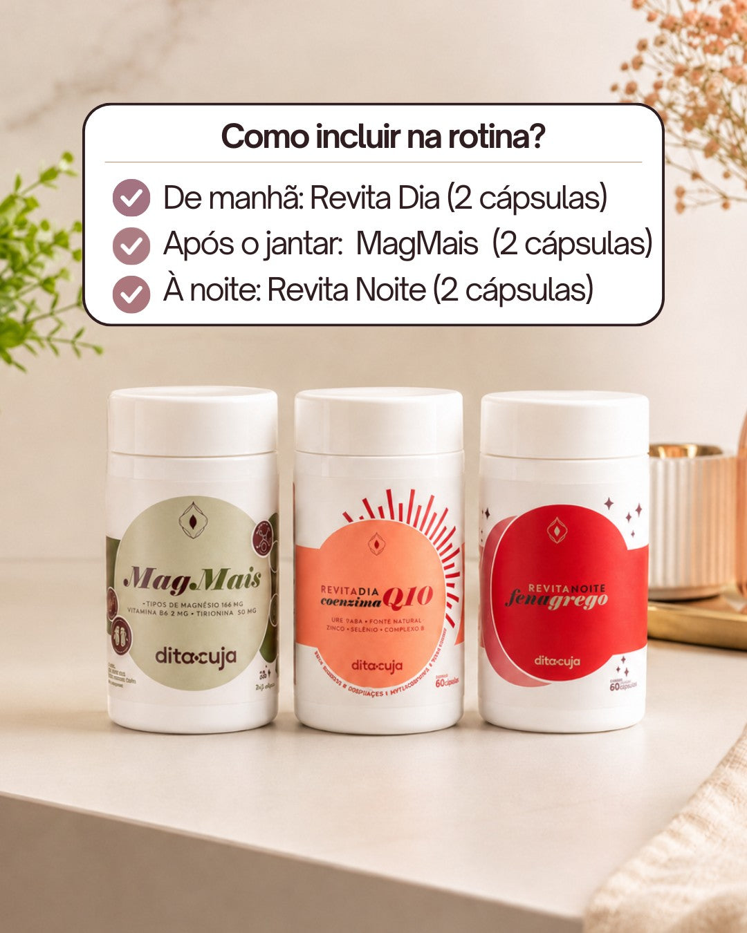 Kit Energia 40+